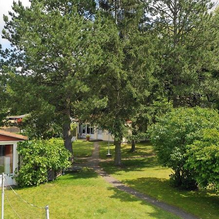 Ferienhausanlage Flessenow Exteriör bild